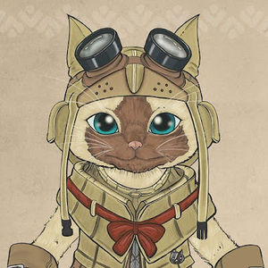 Meet your Posher, Cllyr